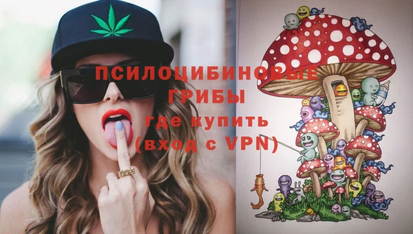 PSILOCYBIN Горно-Алтайск