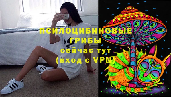 таблы Вяземский