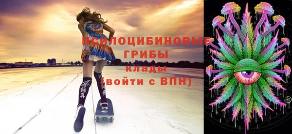 бошки Вязьма