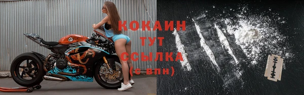 дмт Горняк