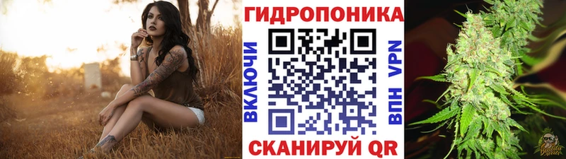 Канабис план как найти наркотики Люберцы